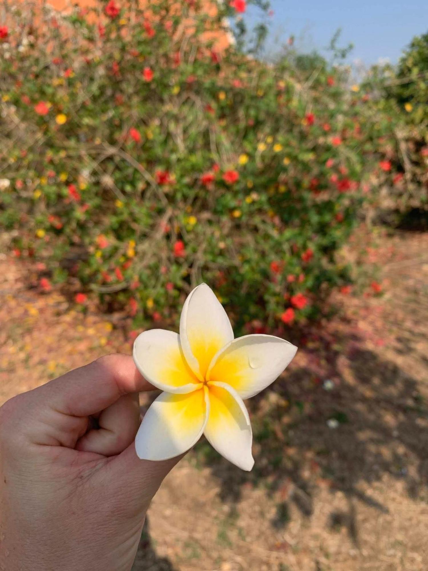 Bloom Garden Bed & Breakfast Siem Reap Ngoại thất bức ảnh