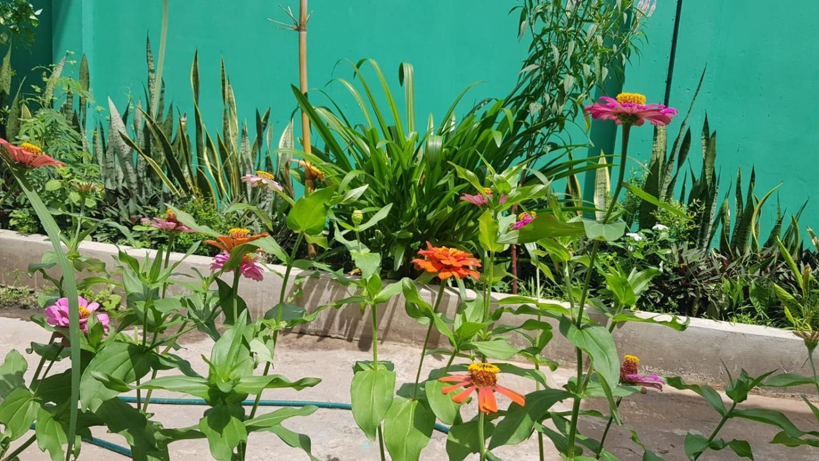 Bloom Garden Bed & Breakfast Siem Reap Ngoại thất bức ảnh