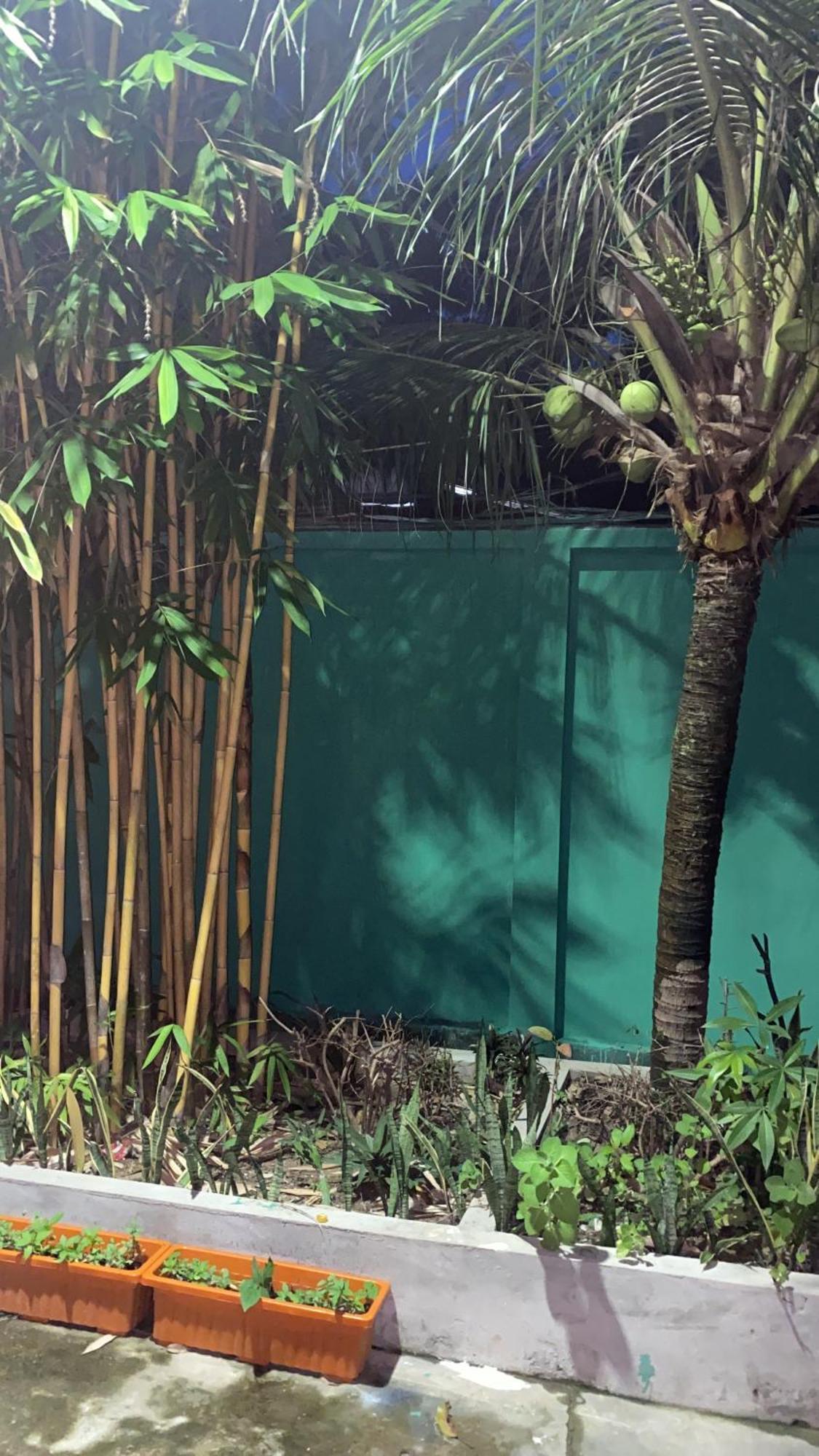 Bloom Garden Bed & Breakfast Siem Reap Ngoại thất bức ảnh