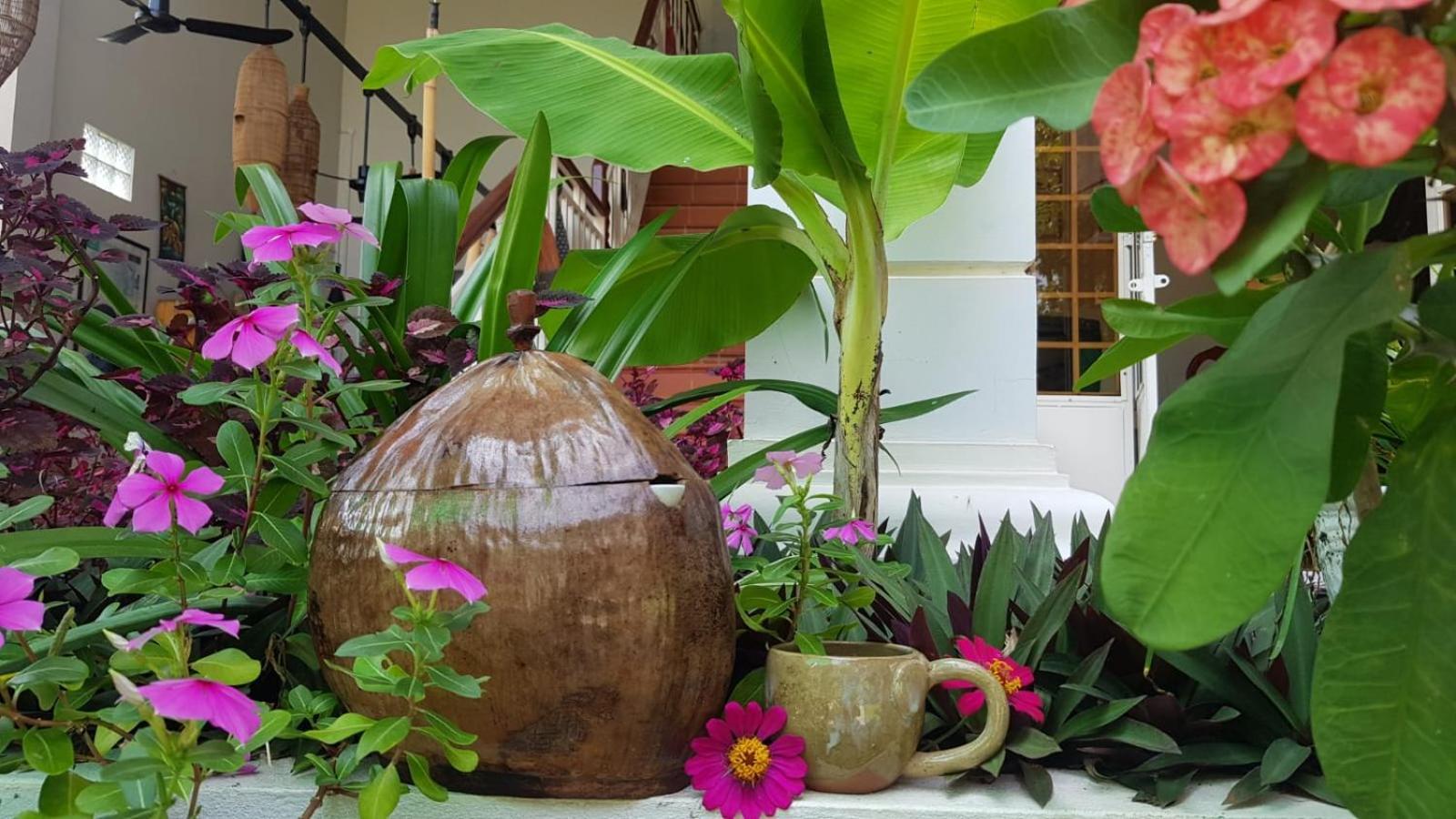 Bloom Garden Bed & Breakfast Siem Reap Ngoại thất bức ảnh